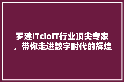 罗建ITcioIT行业顶尖专家，带你走进数字时代的辉煌未来！