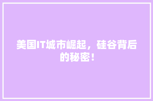 美国IT城市崛起，硅谷背后的秘密！ 项目报告