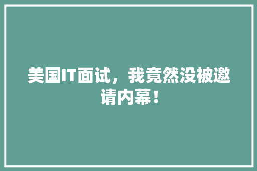 美国IT面试，我竟然没被邀请内幕！ 项目报告
