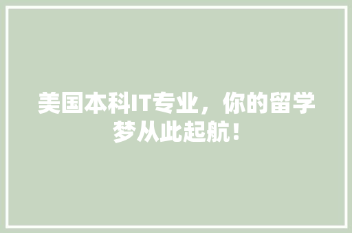 美国本科IT专业，你的留学梦从此起航！ 缓存Redis
