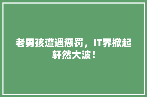 老男孩遭遇惩罚，IT界掀起轩然大波！