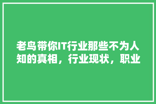 老鸟带你IT行业那些不为人知的真相，行业现状，职业发展密码！ 后端技术