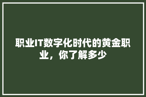 职业IT数字化时代的黄金职业，你了解多少
