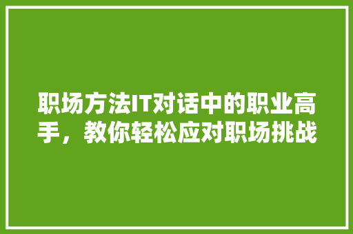 职场方法IT对话中的职业高手，教你轻松应对职场挑战