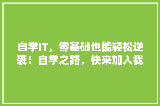 自学IT，零基础也能轻松逆袭！自学之路，快来加入我们！ 缓存Redis
