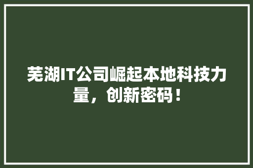 芜湖IT公司崛起本地科技力量，创新密码！
