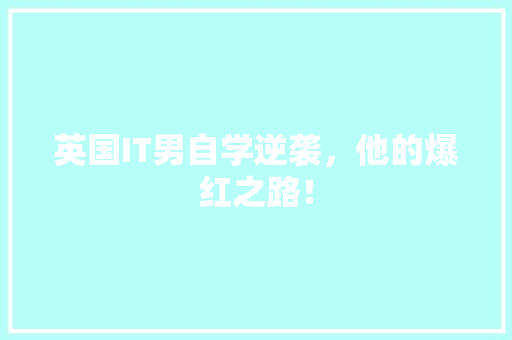 英国IT男自学逆袭，他的爆红之路！