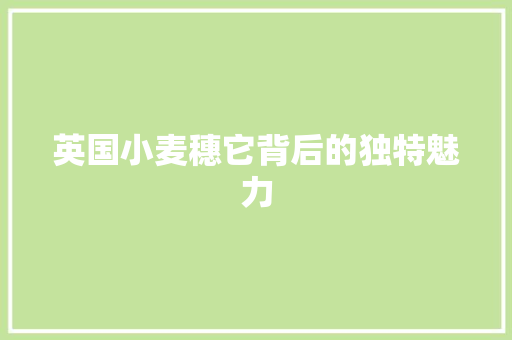 英国小麦穗它背后的独特魅力