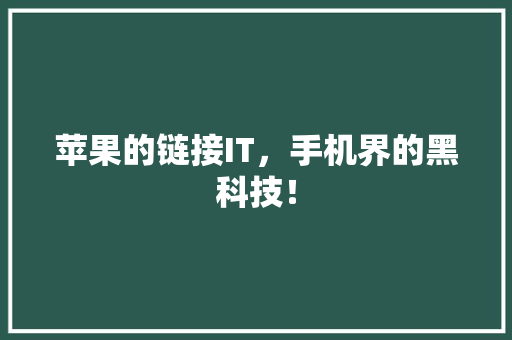 苹果的链接IT，手机界的黑科技！ 后端技术
