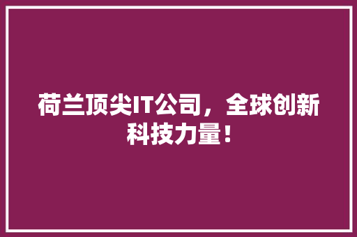荷兰顶尖IT公司，全球创新科技力量！ 前端技术