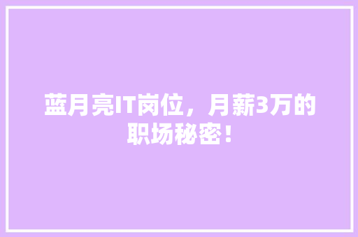 蓝月亮IT岗位，月薪3万的职场秘密！