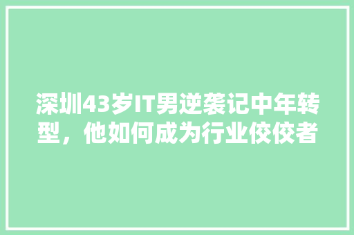 深圳43岁IT男逆袭记中年转型，他如何成为行业佼佼者 缓存Redis