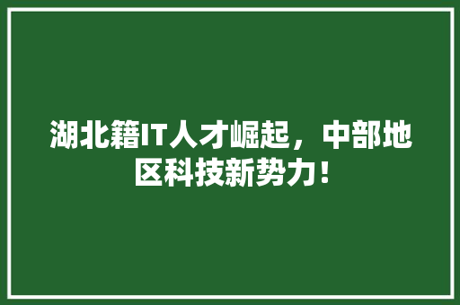 湖北籍IT人才崛起，中部地区科技新势力！ 网站建设