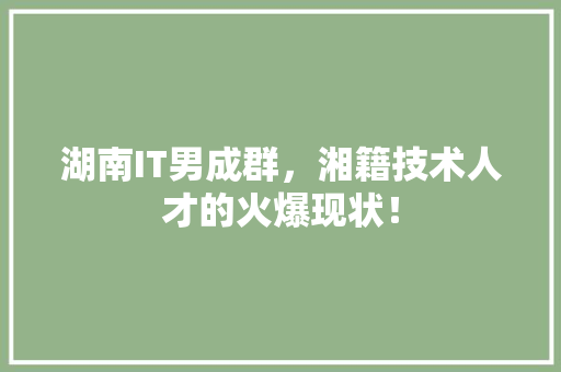 湖南IT男成群，湘籍技术人才的火爆现状！ 市场营销范文