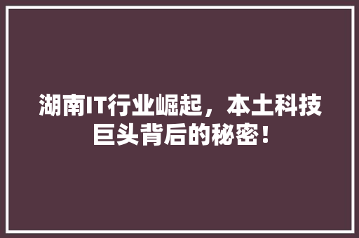 湖南IT行业崛起，本土科技巨头背后的秘密！