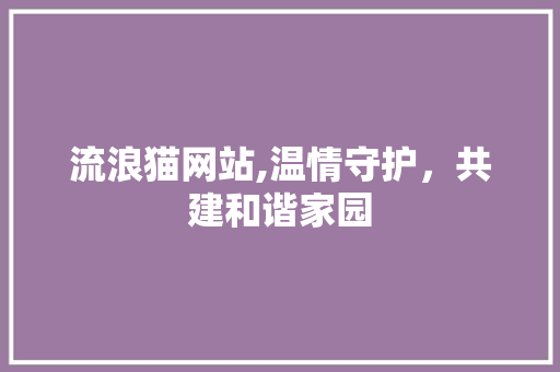 流浪猫网站,温情守护，共建和谐家园