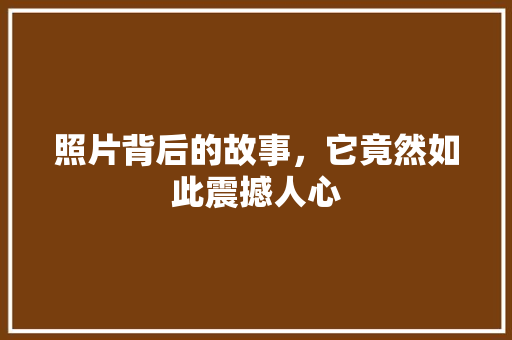 照片背后的故事，它竟然如此震撼人心