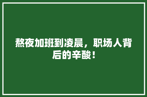熬夜加班到凌晨，职场人背后的辛酸！ 项目报告
