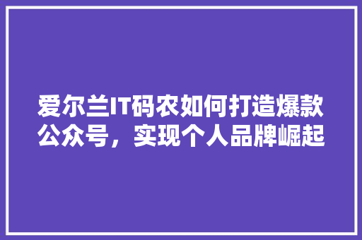 爱尔兰IT码农如何打造爆款公众号，实现个人品牌崛起 缓存Redis
