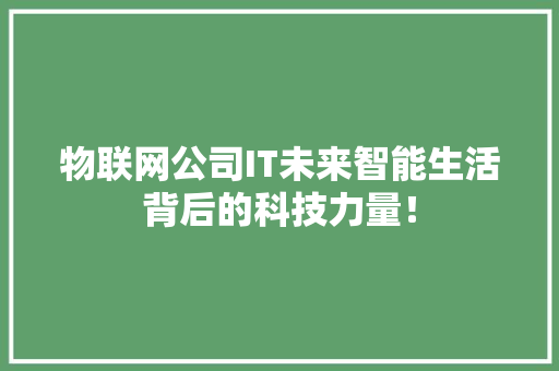 物联网公司IT未来智能生活背后的科技力量！ 项目报告