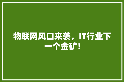 物联网风口来袭，IT行业下一个金矿！ 项目报告