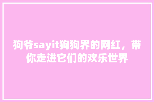 狗爷sayit狗狗界的网红，带你走进它们的欢乐世界 市场营销范文