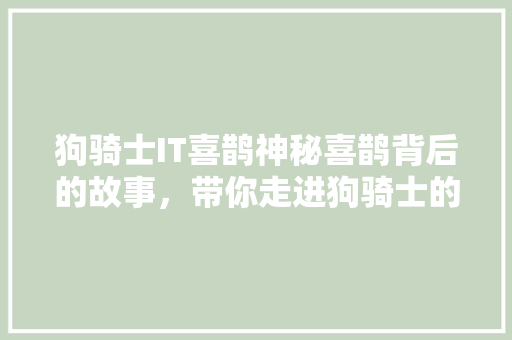 狗骑士IT喜鹊神秘喜鹊背后的故事，带你走进狗骑士的奇幻世界！ 响应式设计