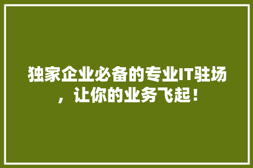 独家企业必备的专业IT驻场，让你的业务飞起！ 缓存Redis