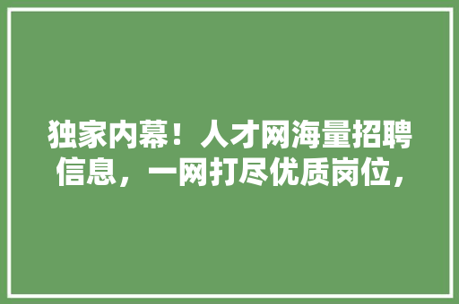 独家内幕！人才网海量招聘信息，一网打尽优质岗位，错过你就亏大了！ 项目报告