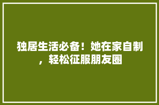 独居生活必备！她在家自制，轻松征服朋友圈 缓存Redis
