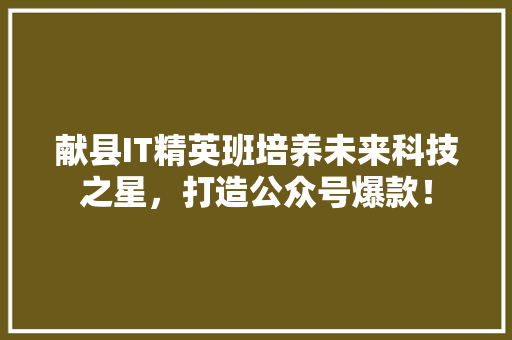 献县IT精英班培养未来科技之星，打造公众号爆款！