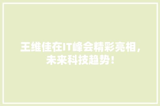 王维佳在IT峰会精彩亮相，未来科技趋势！ 响应式设计