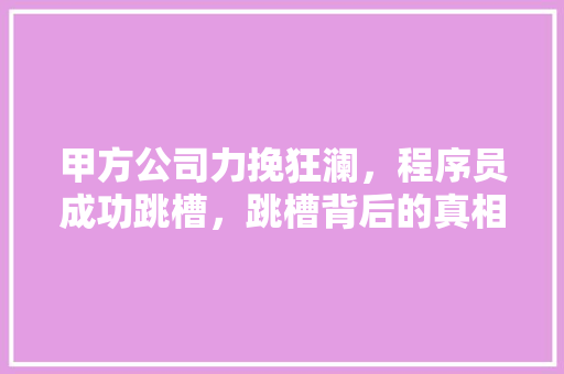 甲方公司力挽狂澜，程序员成功跳槽，跳槽背后的真相！
