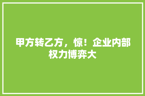 甲方转乙方，惊！企业内部权力博弈大
