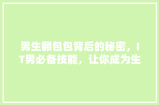 男生翻包包背后的秘密，IT男必备技能，让你成为生活高手！ 缓存Redis