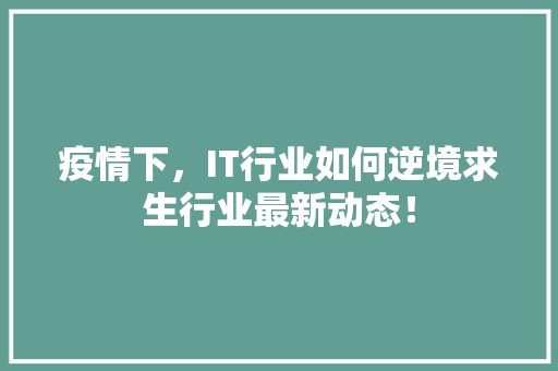 疫情下，IT行业如何逆境求生行业最新动态！ 前端技术