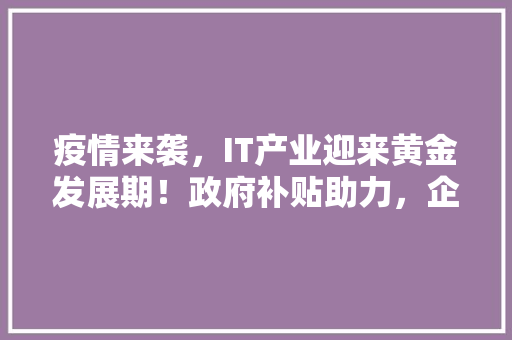 疫情来袭，IT产业迎来黄金发展期！政府补贴助力，企业狂欢盛宴！ 商务信函