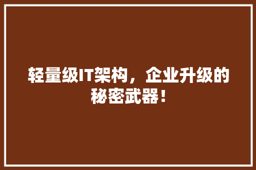 轻量级IT架构，企业升级的秘密武器！ 网站建设