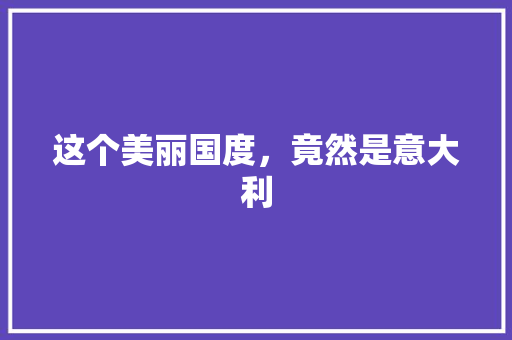 这个美丽国度，竟然是意大利 项目报告