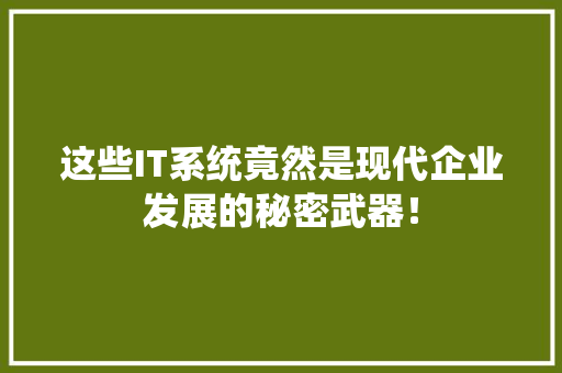 这些IT系统竟然是现代企业发展的秘密武器！ 前端技术
