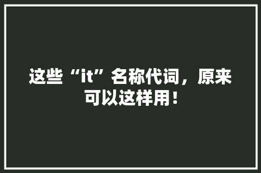 这些“it”名称代词，原来可以这样用！ 后端技术