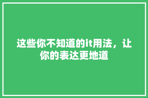这些你不知道的it用法，让你的表达更地道 项目报告