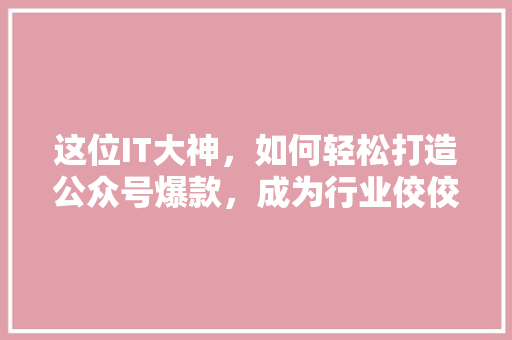 这位IT大神，如何轻松打造公众号爆款，成为行业佼佼者 项目报告