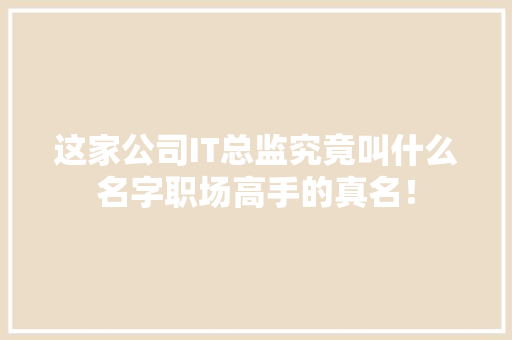 这家公司IT总监究竟叫什么名字职场高手的真名！ 网站建设