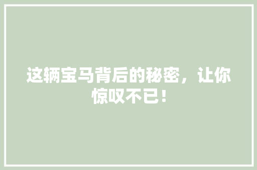 这辆宝马背后的秘密，让你惊叹不已！