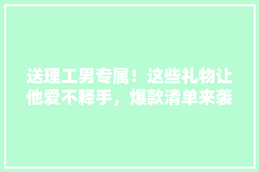 送理工男专属！这些礼物让他爱不释手，爆款清单来袭 项目报告