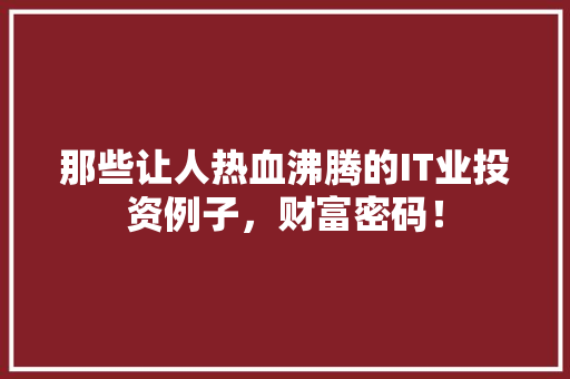那些让人热血沸腾的IT业投资例子，财富密码！ 项目报告
