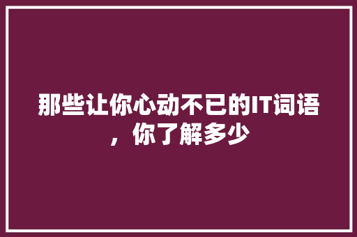 那些让你心动不已的IT词语，你了解多少