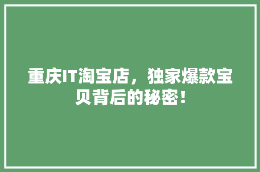 重庆IT淘宝店，独家爆款宝贝背后的秘密！