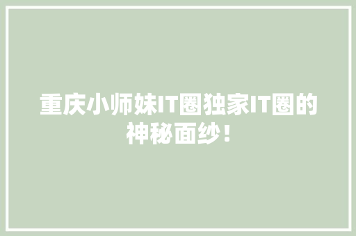 重庆小师妹IT圈独家IT圈的神秘面纱！ 网站建设